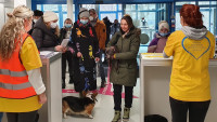 uprchlíci nouzeLKb